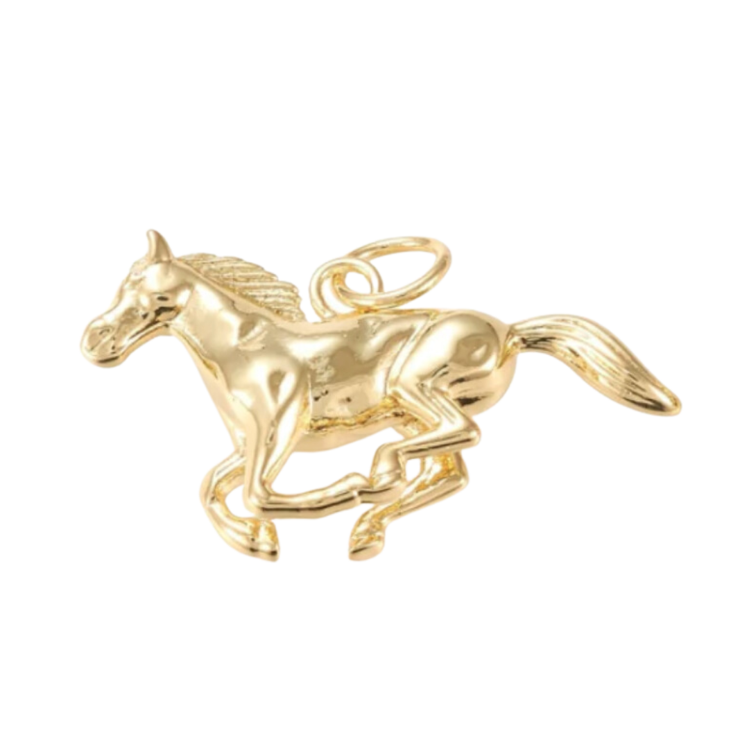 Giddy Up Charm
