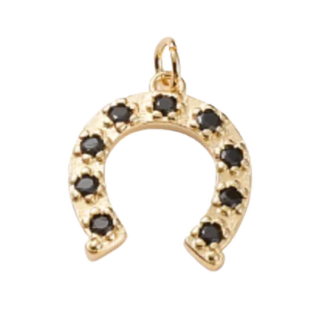Black Horseshoe Charm