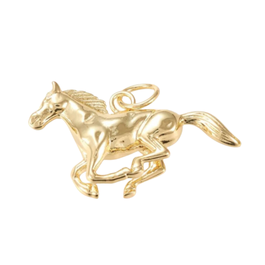 Giddy Up Charm
